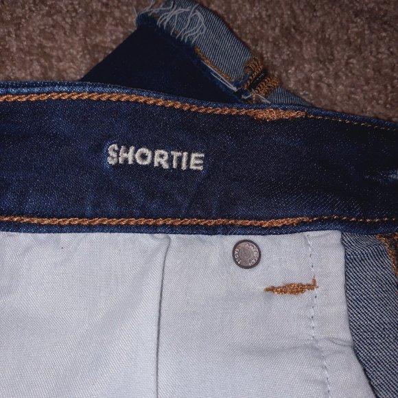 American Eagle AE Next Level Super Stretch Denim Shorts Size 8 Dark Wash - Picture 6 of 10